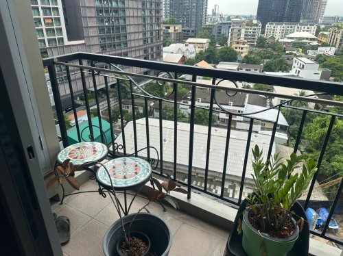 The Crest Sukhumvit 34 For Sale Baht 10.5M